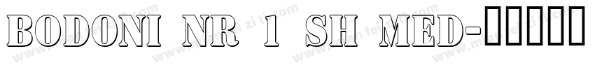 Bodoni NR 1 SH Med字体转换